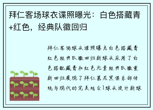 拜仁客场球衣谍照曝光：白色搭藏青+红色，经典队徽回归